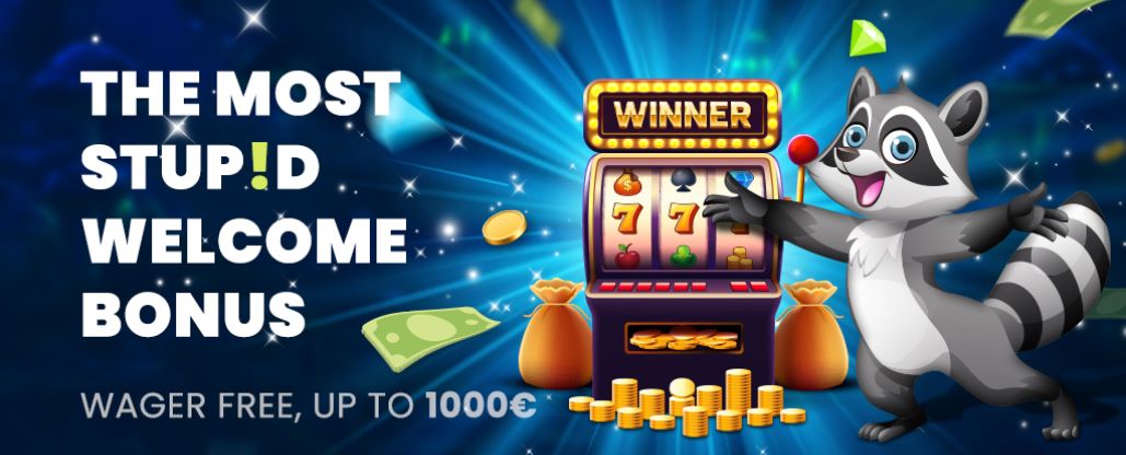 bonusvoorwaarden van de Stupid Casino welkomstactie