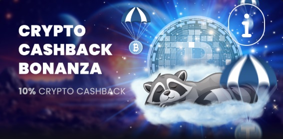 Wat biedt de crypto cashback bonus van Stupid Casino