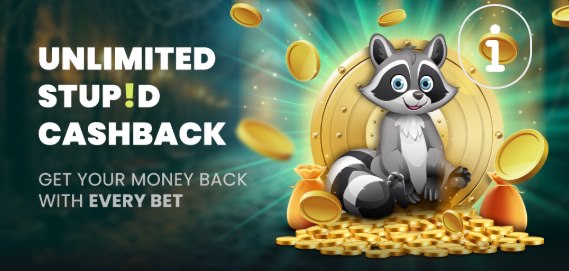 wat is de Stupid Unlimited Cashback bonus en wat krijg je