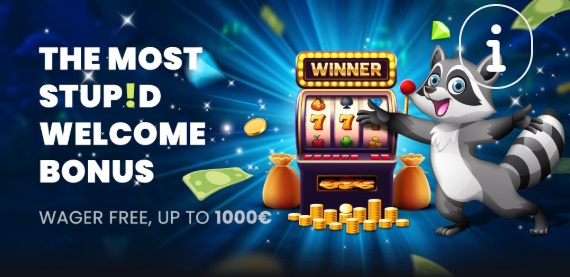 wat krijg je precies met de welkomstbonus van Stupid Casino