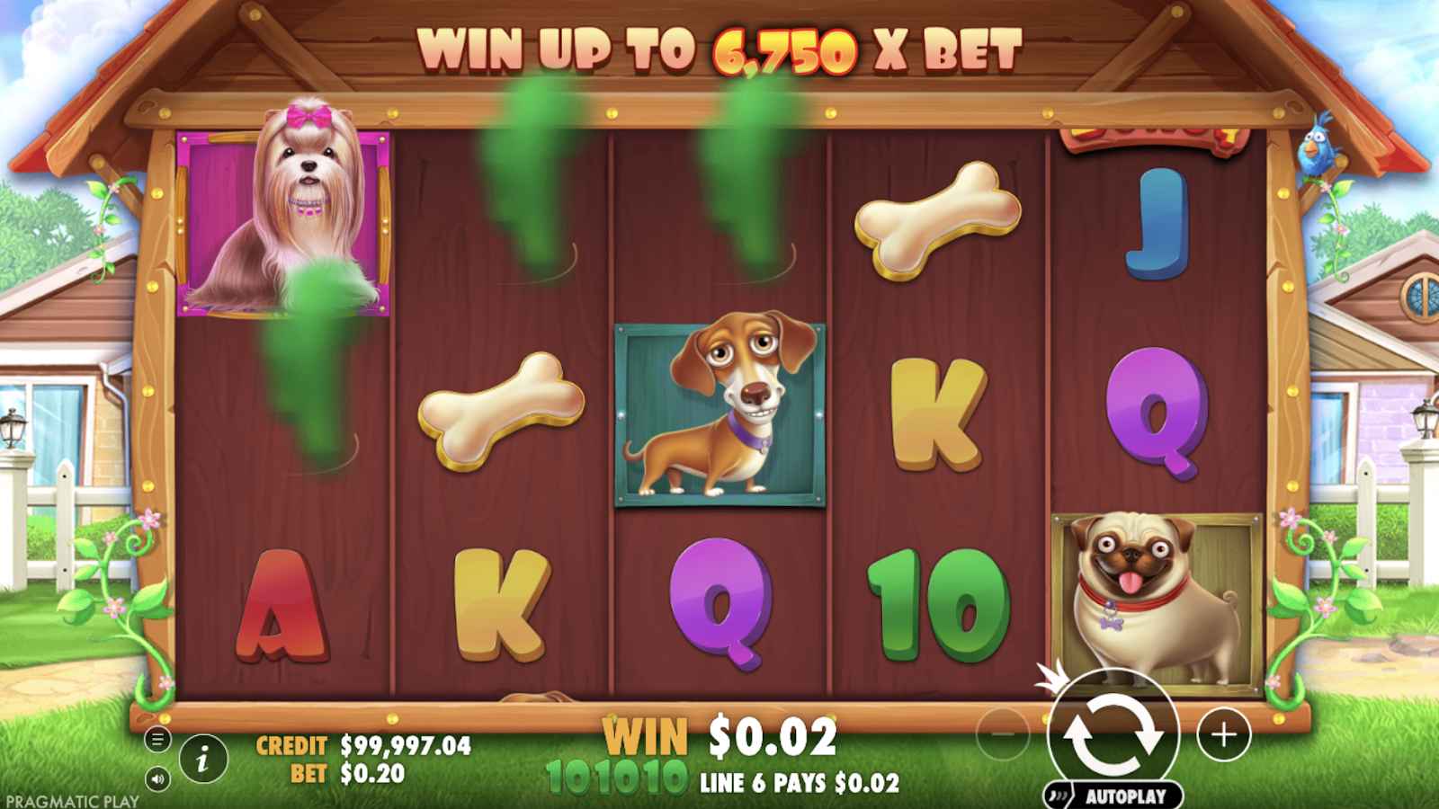 the dog house slot